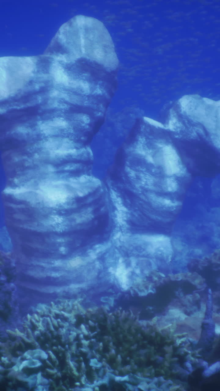 A exploração subaquática revela formações de corais únicas em um mar vibrante