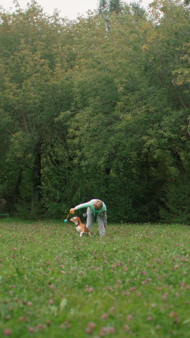 perro de adiestramiento adulto blanco en prado, juego de buscar juguetón cerca de la línea de árboles, dueño con camiseta verde lanza un juguete mientras el perro marrón salta, el entrenador se convierte en visitante del parque y luego en cuidador de mascotas, movimiento enérgico
