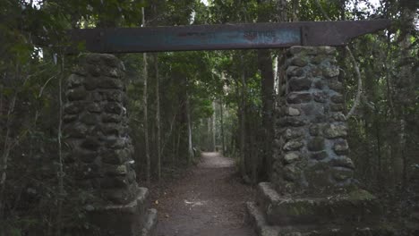 stone archway leading into dense rainforest trail