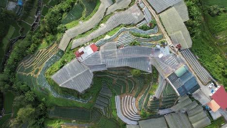 general landscape view of the brinchang district within the cameron highlands area of malaysia