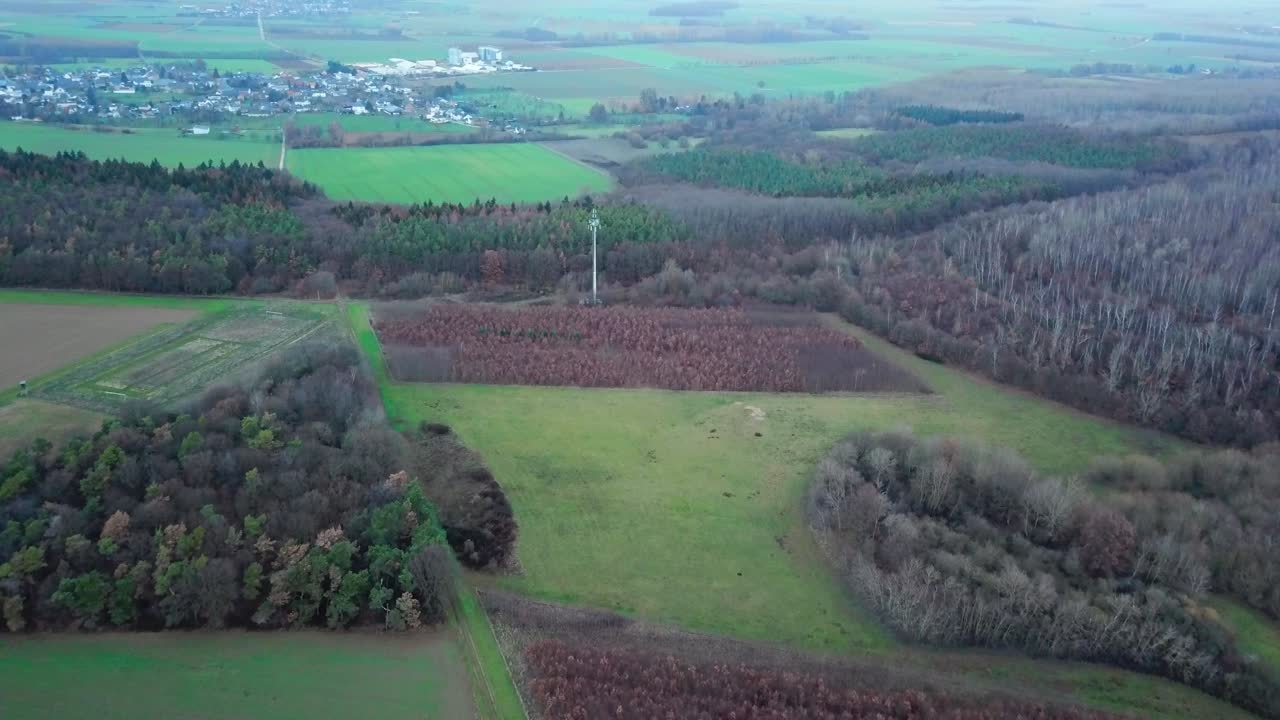 лес, деревня и много природы