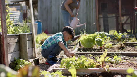 Senior-biracial-grandmother-and-grandson-planting-and-watering-plants-in-sunny-garden,-slow-motion