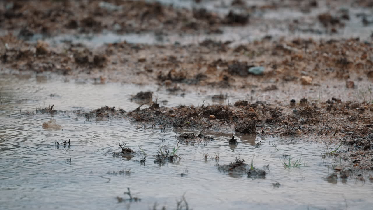 A raining day with a muddy dirt