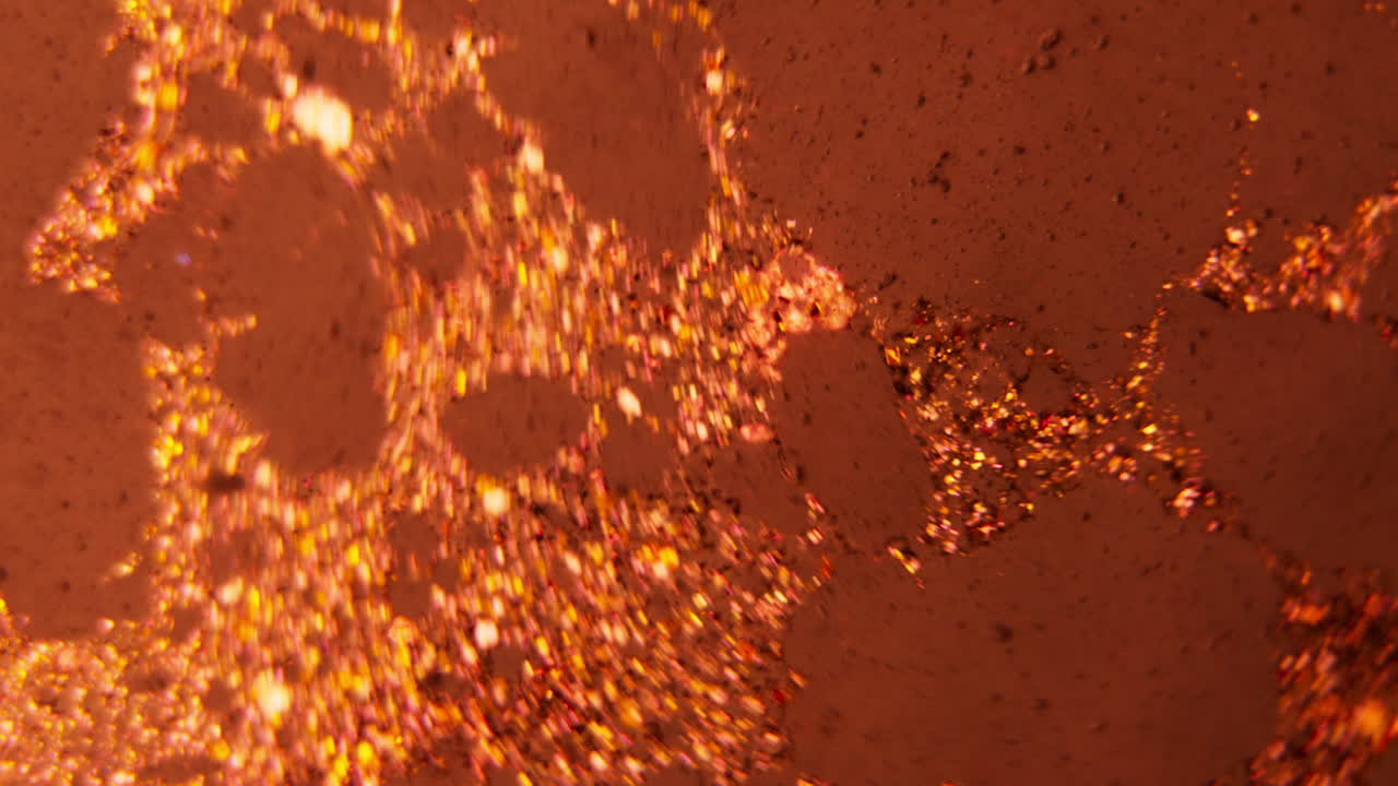 Abstract Microscopic Pattern