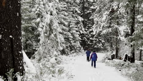 Two-women-walking-in-the-woods-in-the-winter