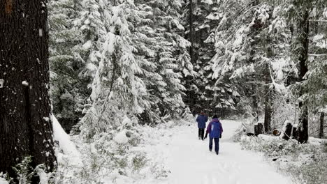 Dos-Mujeres-Caminando-Por-El-Bosque-En-Invierno