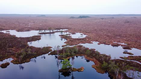 Vista-Aérea-De-Pájaro-De-La-Turbera-De-Dunika-Con-Pequeños-Estanques-En-Un-Día-De-Otoño-Nublado,-Gran-Tiro-De-Drones-De-Gran-Altitud-Avanzando