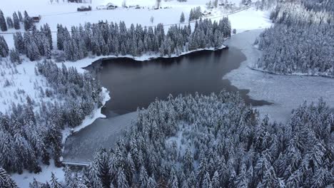 Flying-and-panning-down-on-a-beautiful-winter-wonderland-snow-covered-trees-and-frozen-ice-lake-in-snowy-winter-Switzerland