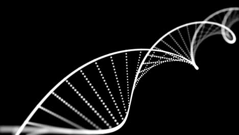 bucle de animación de doble hélice de dna con profundidad negra