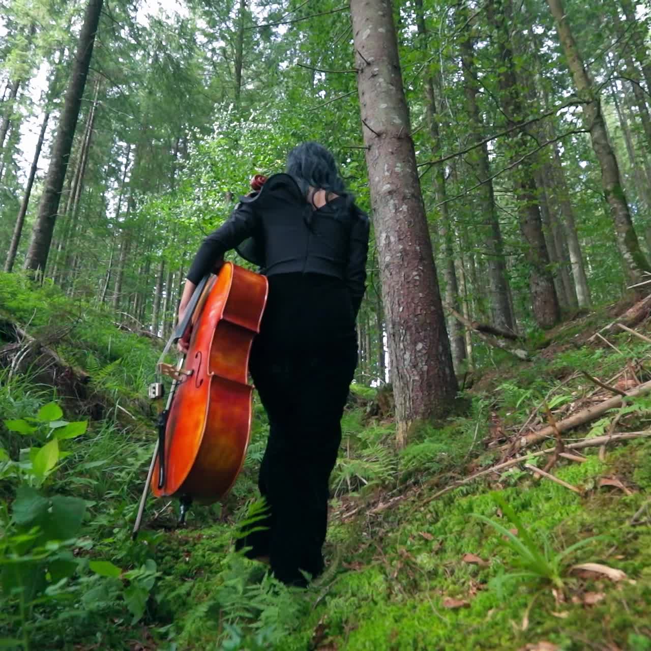 Musician in black dress walks in the forest. Woman with cello goes bare feet on beautiful green nature background. Back view.