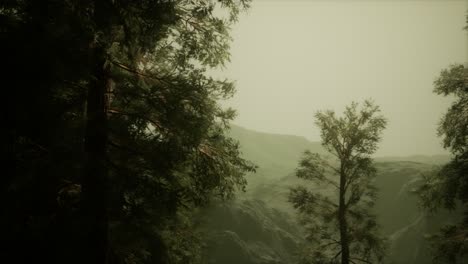 Niebla-Y-Pinos-En-La-Escarpada-Ladera-De-La-Montaña-Y-La-Tormenta-Que-Se-Avecina