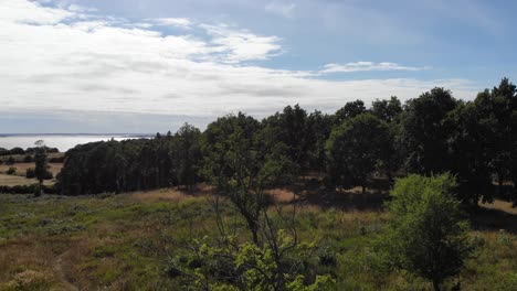 Vista-Aérea-De-La-Costa-De-Sejerøbugten-Con-Colinas,-Campos-Y-Océano