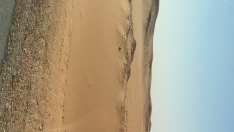 rural desert landscape passing by car window, vertical