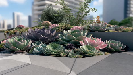 vibrant succulent garden on a modern urban rooftop