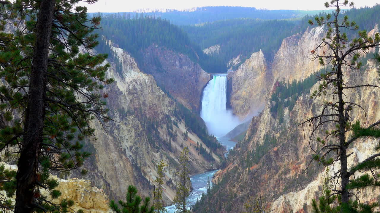 Bidikan jarak jauh Air Terjun Bawah yang dibingkai pepohonan, di Ngarai Besar Yellowstone