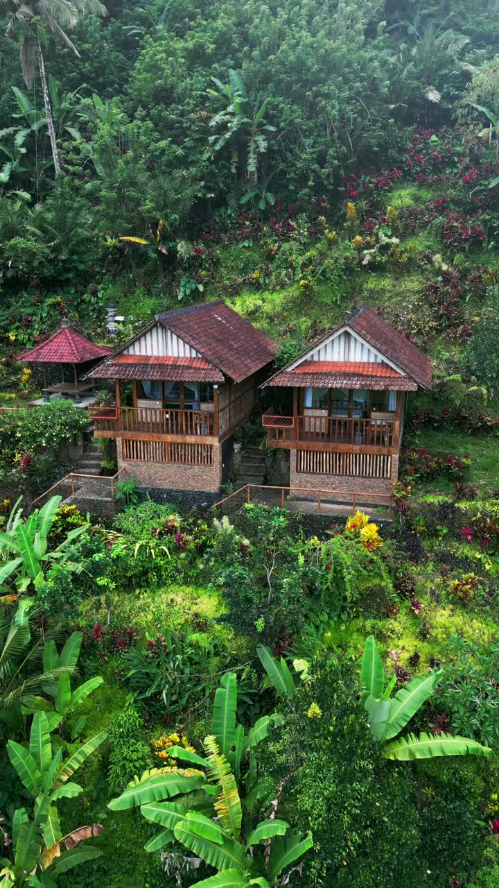 Vertical footage of a cozy wooden cabins perched on a peaceful hillside surrounded by lush green forest. The rustic design, scenic mountain views, and calm atmosphere create a perfect nature escape