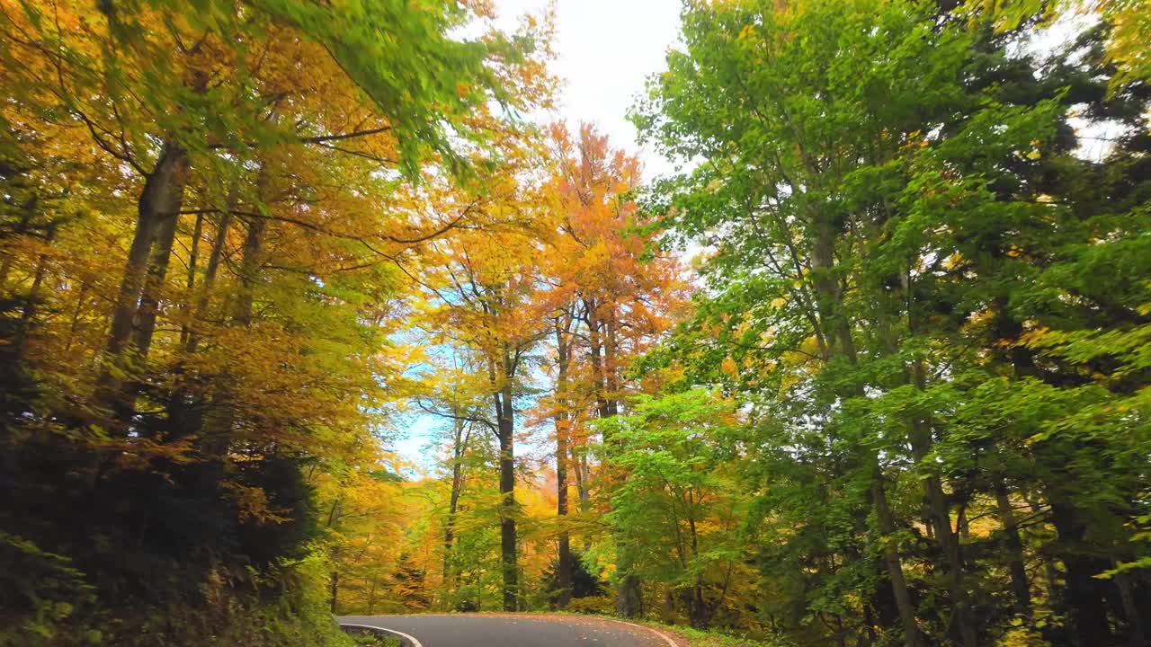 Aerial drone view of a car driving along a winding mountain road through a colorful autumn forest. Vibrant foliage and warm sunlight create a peaceful seasonal landscape. Medvednica, Zagreb, Croatia