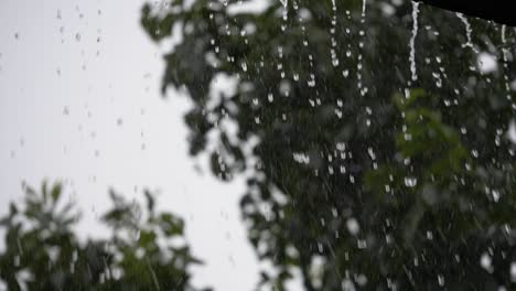 slow motion close up shot of rain pouring off a roof guttering with trees swaying in the wind in the background