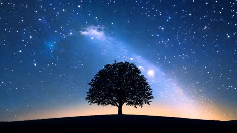 a tree is silhouetted against a dark sky with a few stars. concept of calm and serenity, as the tree stands alone in the vastness of the night sky
