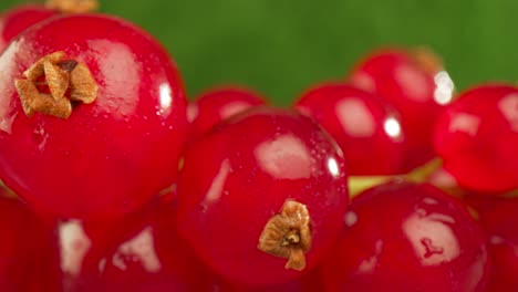 super close macro of a redcurrants on a wooden table.