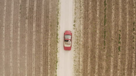 red convertible car on a country road through a vineyard