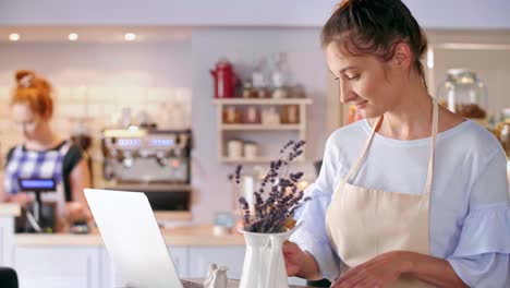 cafe owner using a laptop at cafe