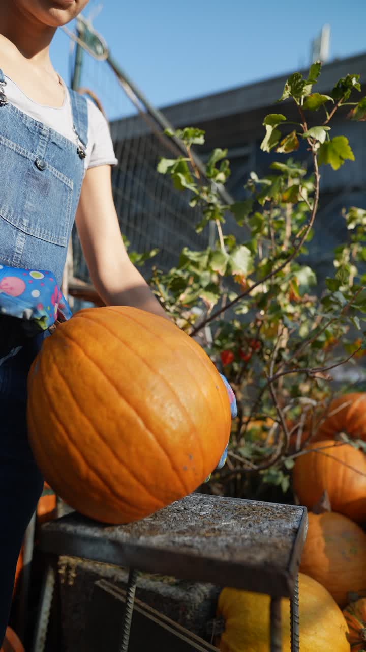 호박 을 뽑는 여자