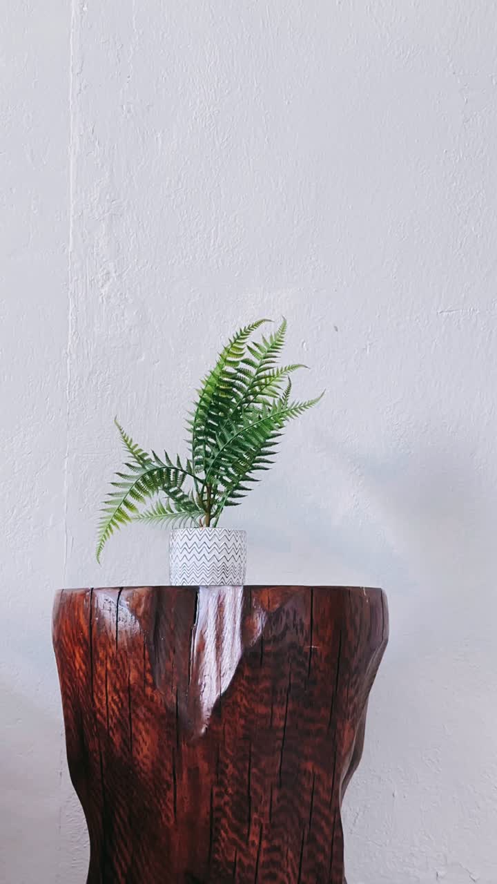 planta de helecho en un tronco de madera