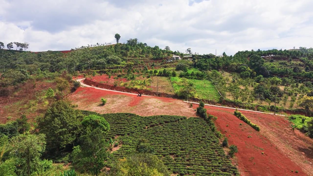 Het groene landschap van Loc Tan in Bao Lam, Lam Dong, Vietnam overdag verkennen