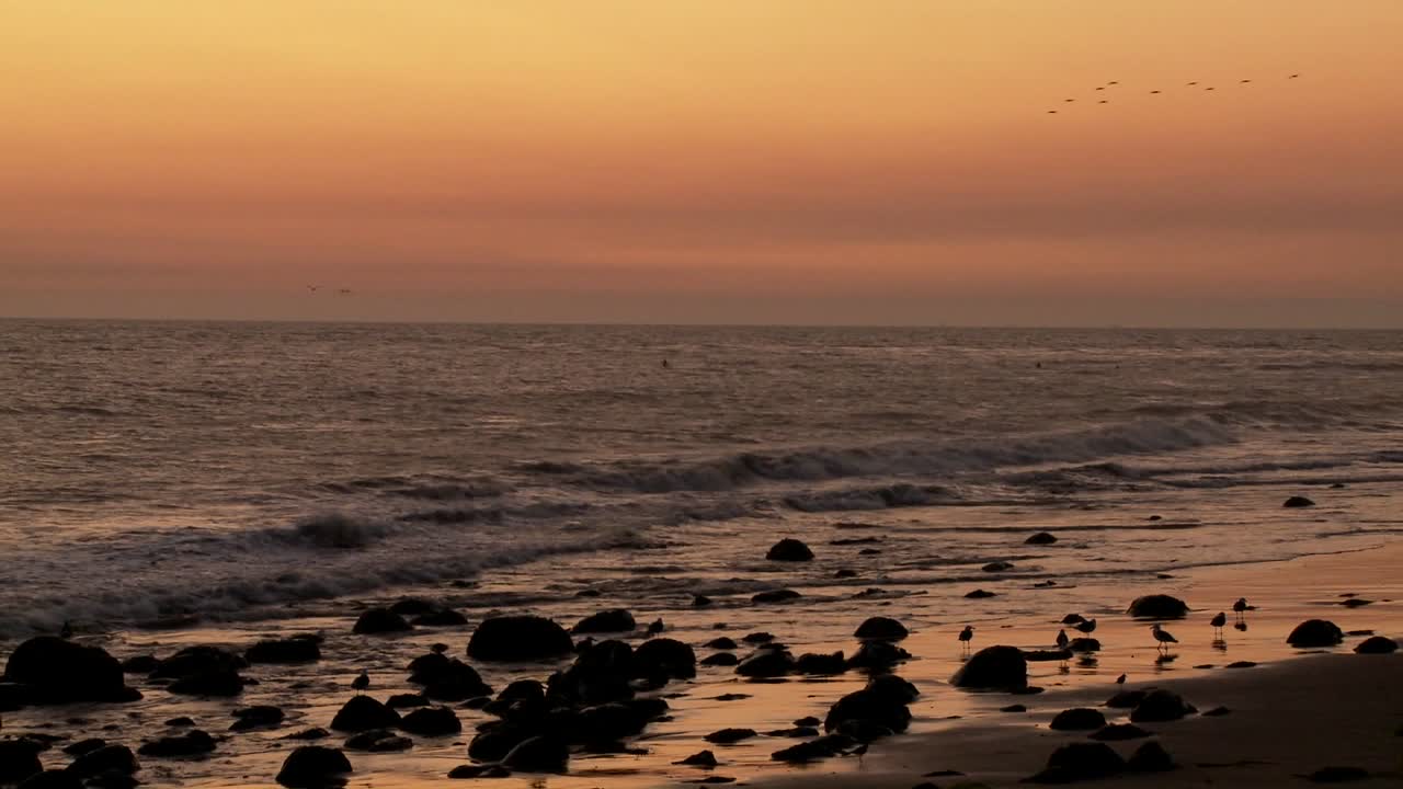 los pájaros vuelan en formación en la distancia frente a una puesta de sol dorada de california