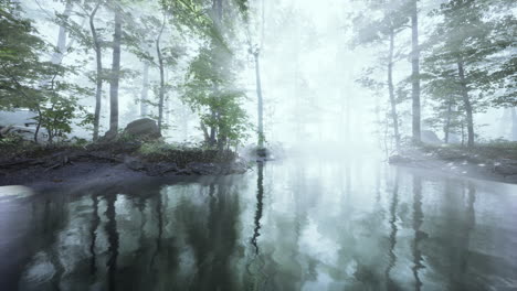 en un estanque de bosque con niebla