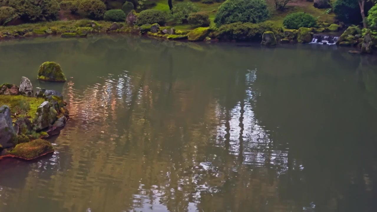 Detalles cercanos de un estanque de jardín tranquilo con reflejos, rocas cubiertas de musgo y agua dulce inmóvil bajo una luz suave