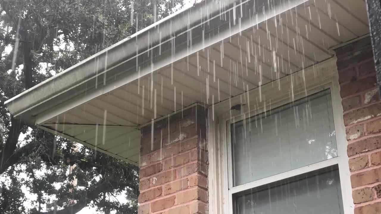 Rainy day here in New Orleans.