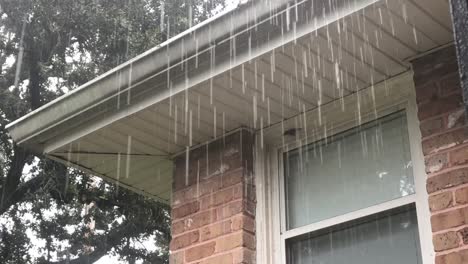 rainy day here in new orleans.