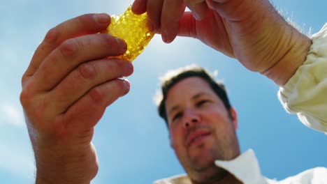 beekeeper holding a piece of fresh honeycomb