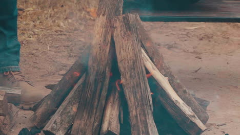 Man-observing-charcoal-and-firewood-for-the-grill