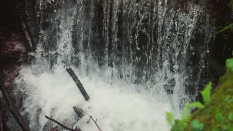 clear water jets with foam fall on pond in tropical forest slow motion. narrow waterfall sprays in mountain valley of national park. nature beauty