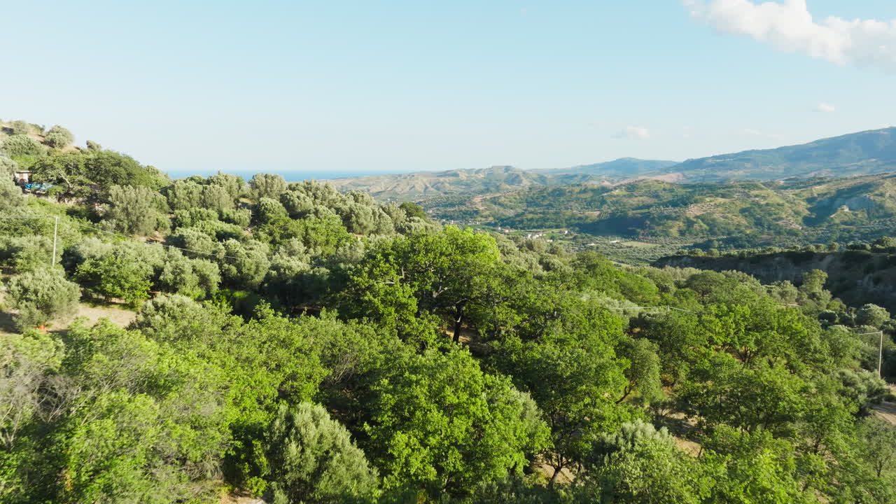 Passage Through the Trees of the Calabrian Countryside, Green Rigorous Nature