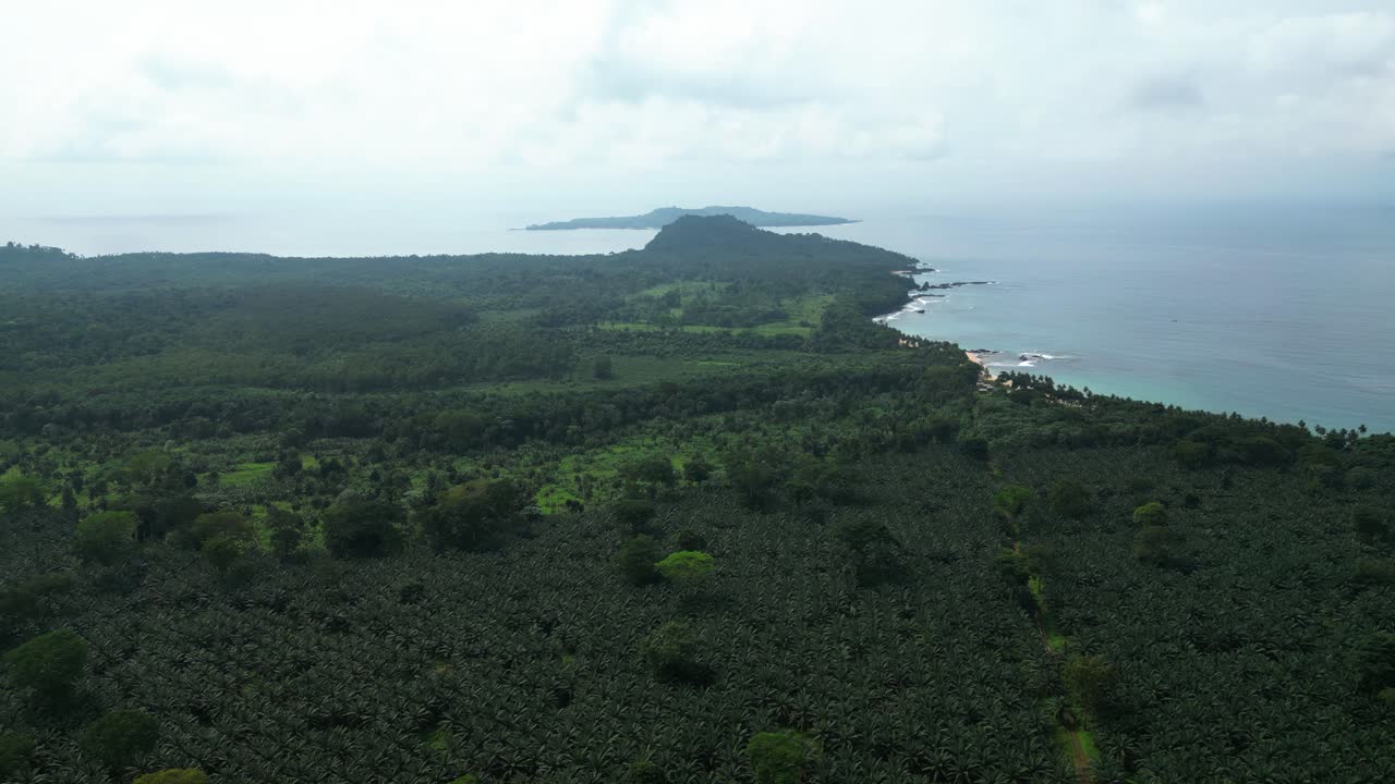 Aerial view overlooking a palm plantation and the Jale beach in cloudy Sao Tome