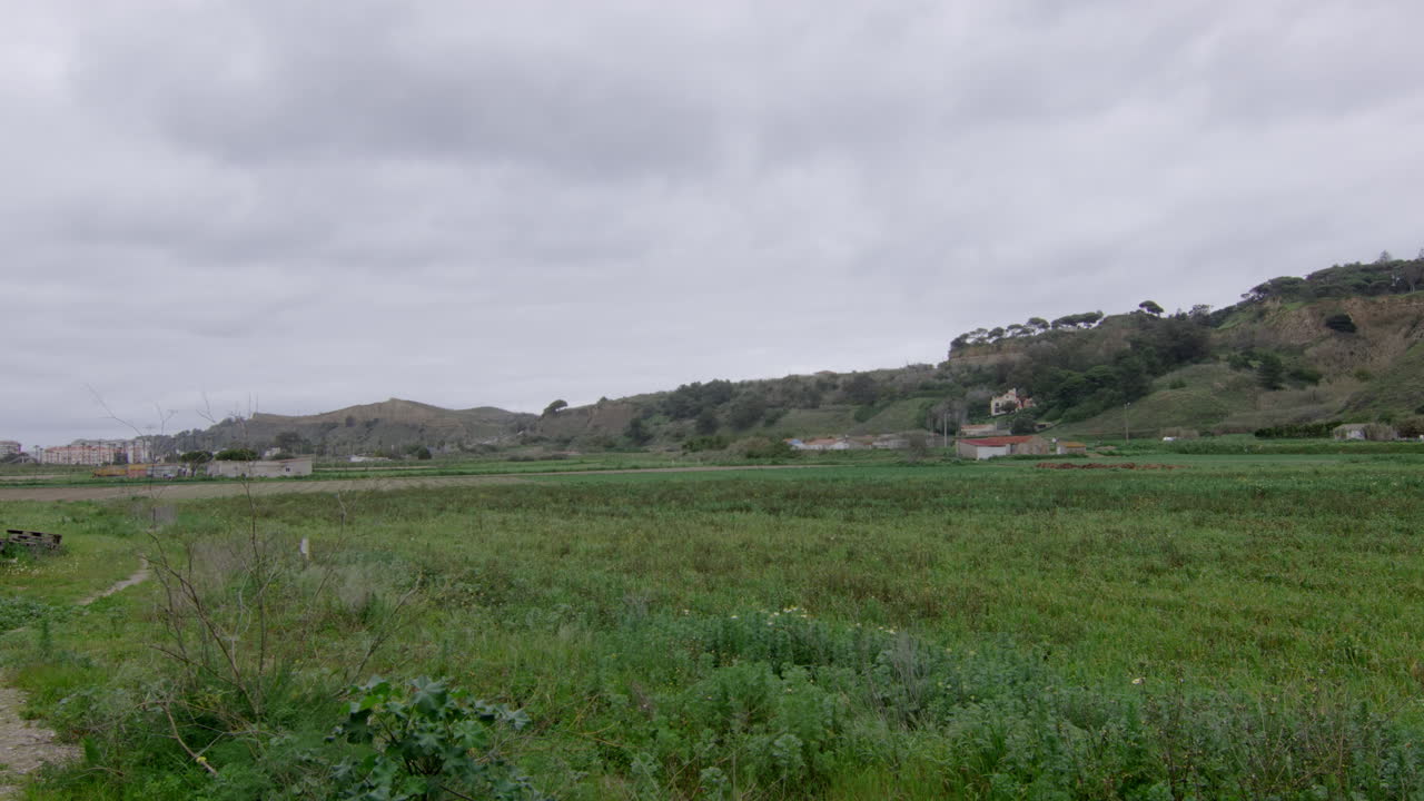 A field and a grey sky.