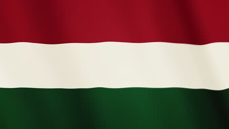 hungary flag waving animation. full screen. symbol of the country