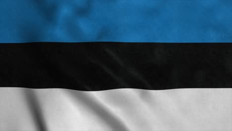 estonia flag waving in the wind. seamless loop with highly detailed fabric texture