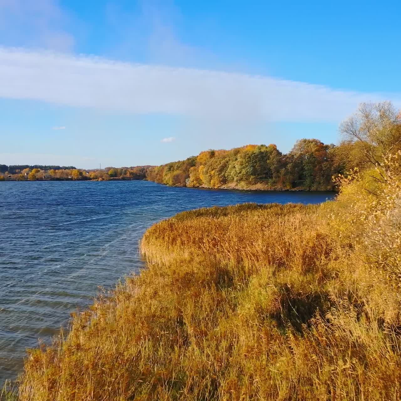 Bright colors of golden trees near the lake in autumn. Amazing natural landscape in the countryside. Beautiful nature in fall season