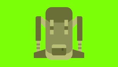 green screen , backpack, high quality