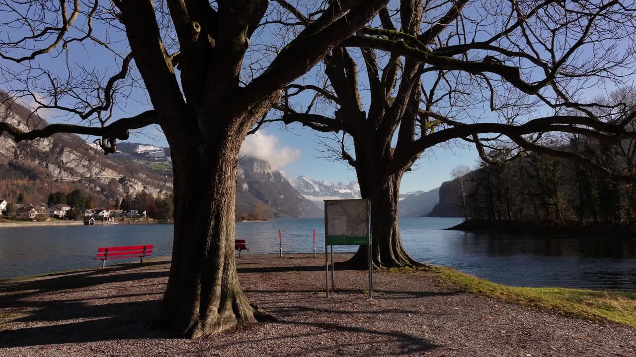 Scenic Lakeside View in Switzerland