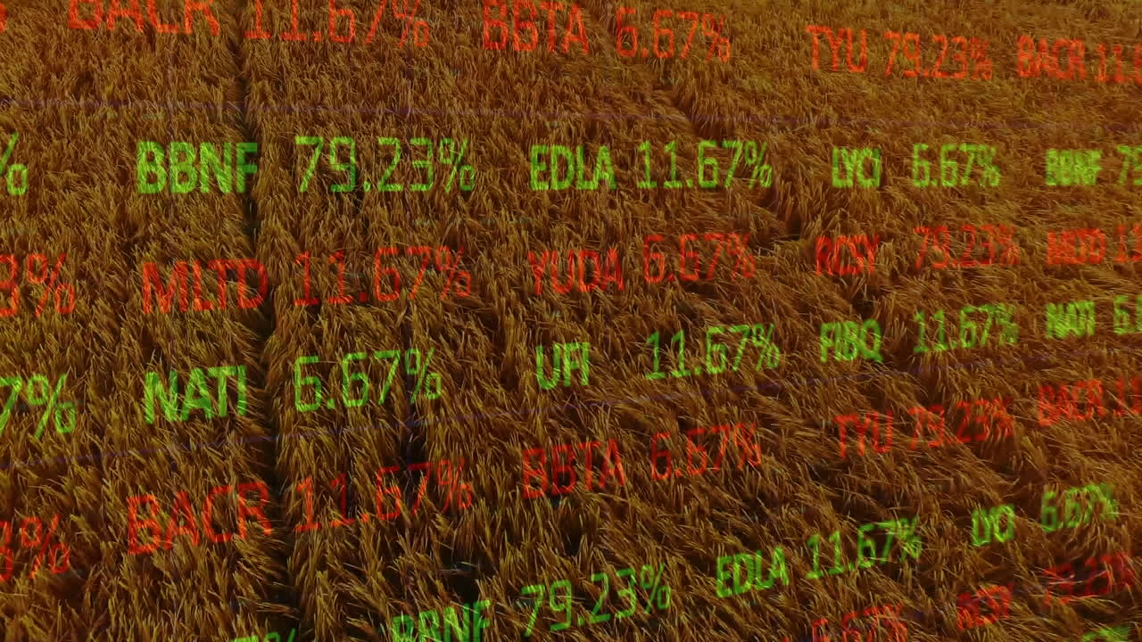 Animation der Finanzdatenverarbeitung über einem Agrarfeld