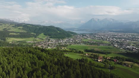 aerial of a forest with a small town and mountains in the background