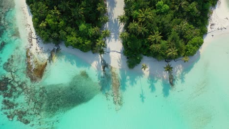 Maldives-coral-reef-island-and-preserved-natural-palm-forest-surrounded-by-sandy-beaches-and-turquoise-sea-water