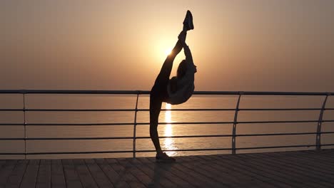 the stunning silhouette of a thin girl arches from a vertical twine. incredible flexibility of the body. stretching. morning sunrise