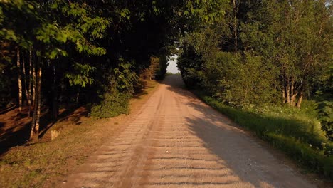 gravel road overgrown with tree branches on sunny evening, aerial fly back view